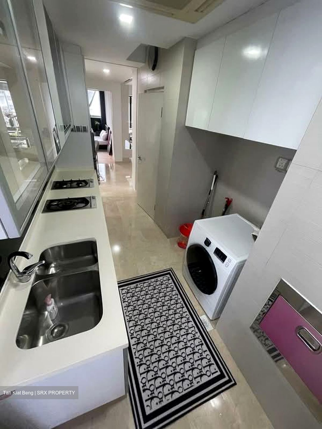 Angullia Park Residences @ Orchard (D10), Apartment #566142031